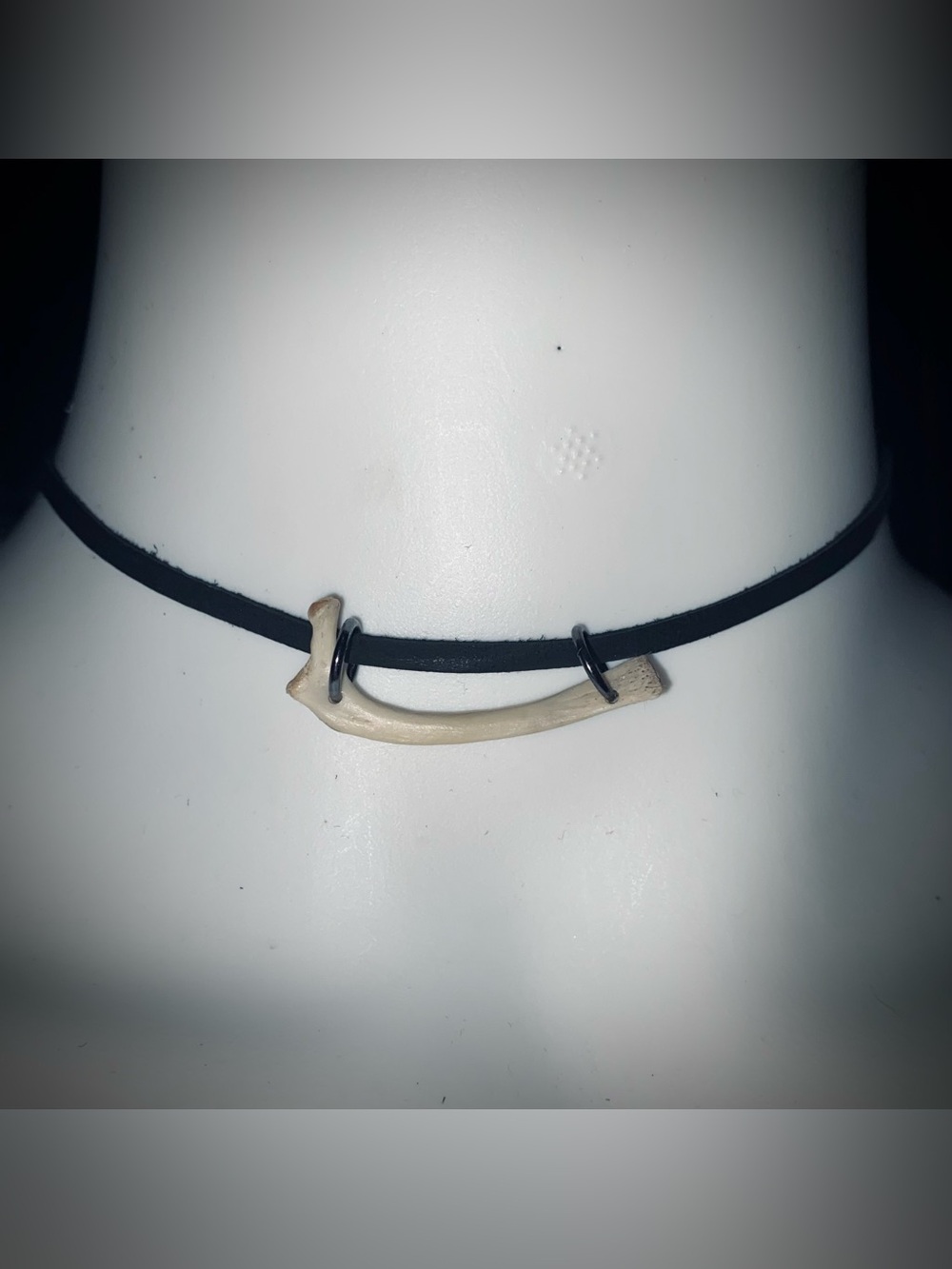 Possum rib bone choker